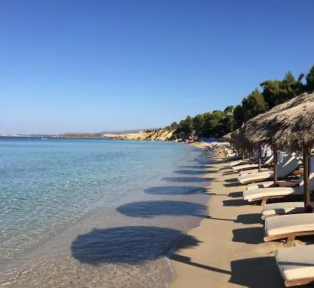 Ionian St&apts Отель типа 