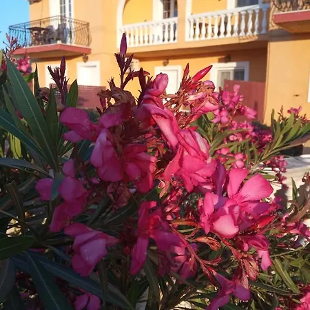 Ionian St&apts Отель типа 